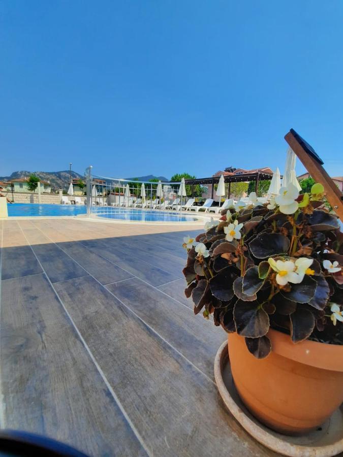 Vespera Hotel Дальян Экстерьер фото